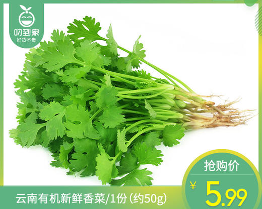 【叼鲜蔬】云南有机新鲜香菜/1份（约50g） 商品图0