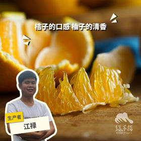 生态桔柚（极兔快递） | 合作生产 *Eco-Tangelo | Partner Production