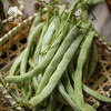 生态四季豆  | 合作生产 * Eco- green beans  | Partner Production 商品缩略图3