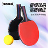 特斯恩特斯恩(TESIEN)乒乓球拍TSN-P01 商品缩略图1