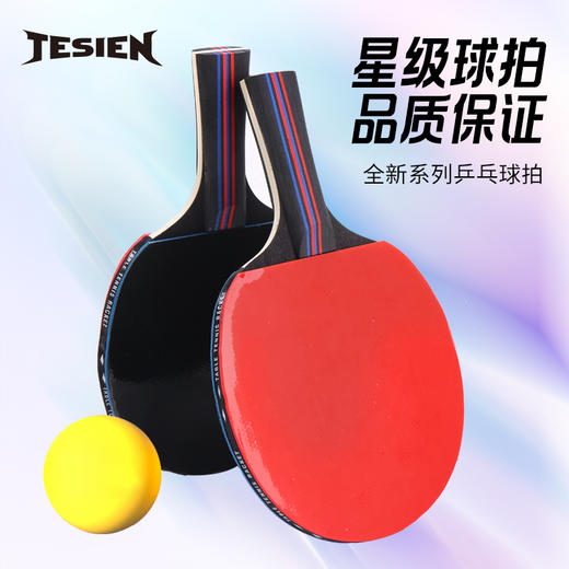 特斯恩特斯恩(TESIEN)乒乓球拍TSN-P01 商品图1