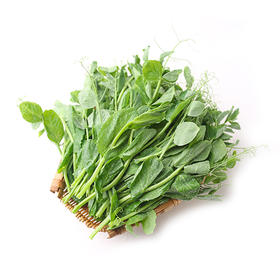 豌豆苗约300g