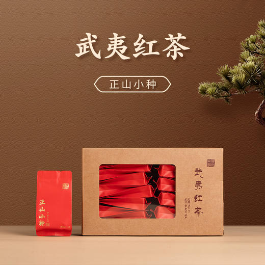 2025年武夷桐木关正山小种 商品图0