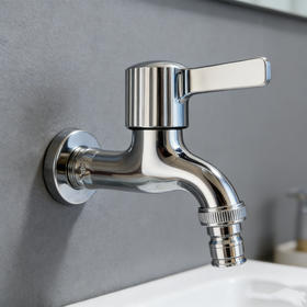 6061玛丽不锈钢洗衣机龙头