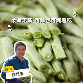 生态四季豆  | 合作生产 * Eco- green beans  | Partner Production