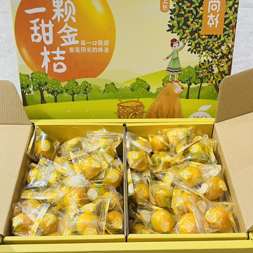 融安 一颗甜金桔   脆甜可口 1件约3斤 商品图6