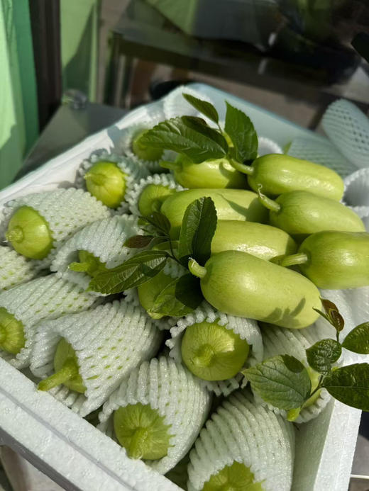 宏丰精选 拇指黄瓜，脆甜多汁，活动价14.8一斤 商品图1