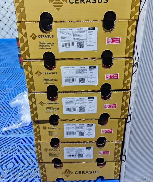 周四取货：【金蜜蜂桑提娜2J车厘子】脆甜，爆汁！ 商品图5