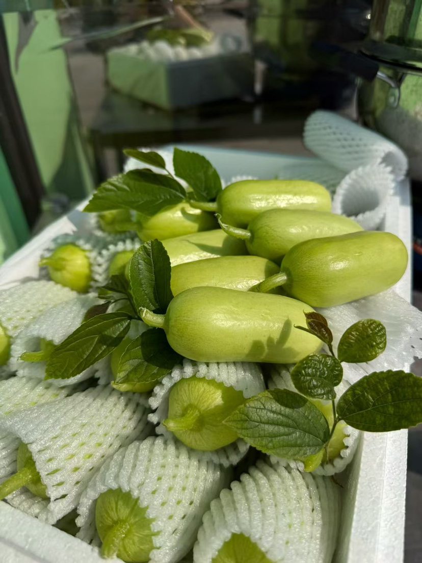 宏丰精选 拇指黄瓜，脆甜多汁，活动价14.8一斤