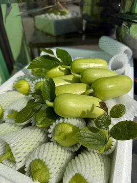 宏丰精选 拇指黄瓜，脆甜多汁，活动价14.8一斤