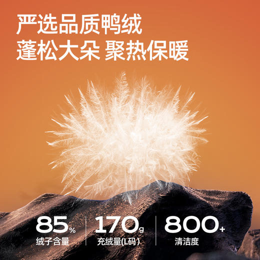 送运费险~原价2328元骆驼连帽加厚保暖情侣同款面包连帽鸭绒填充羽绒服 商品图3