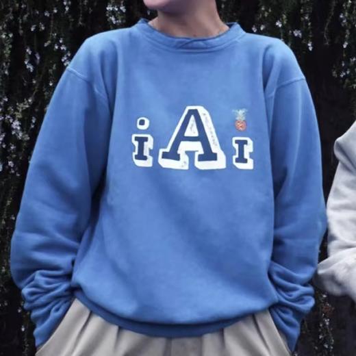 D121417叠领横丝侧拼菠萝刺绣A圆领加绒卫衣 商品图7