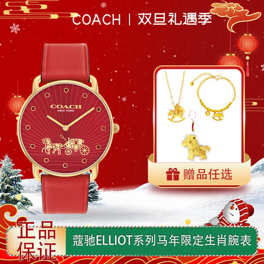 【双十二超值到手价】【全球购】「部分规格赠送马上有钱手链+马上有钱项链+礼盒」蔻驰ELLIOT系列马年限定生肖腕表+礼盒_bba 商品图0