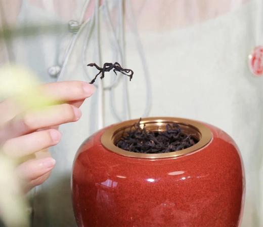 汉合茶业 红茶巅峰 千年野生古树单株 古树滇红奢品 100g 商品图1