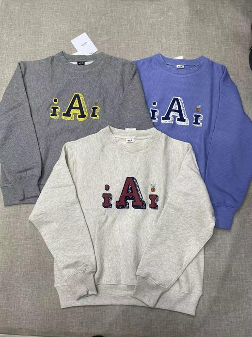 D121417叠领横丝侧拼菠萝刺绣A圆领加绒卫衣 商品图0