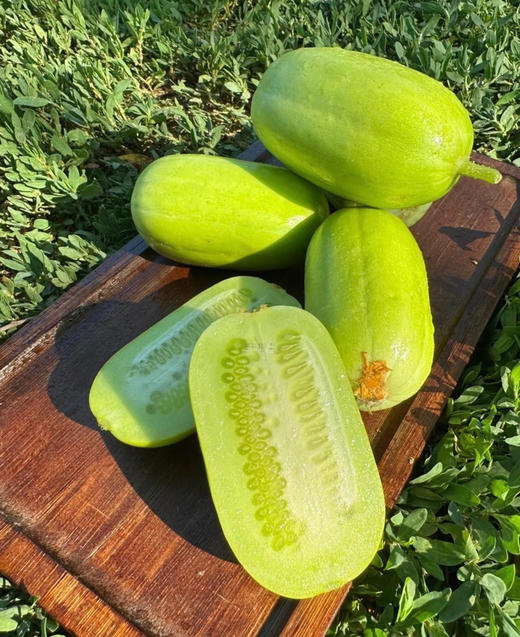 宏丰精选 拇指黄瓜，脆甜多汁，活动价14.8一斤 商品图7