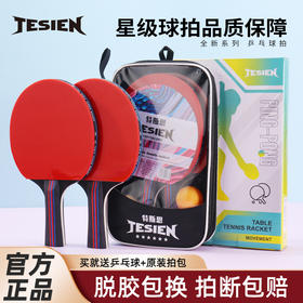 特斯恩特斯恩(TESIEN)乒乓球拍TSN-P01