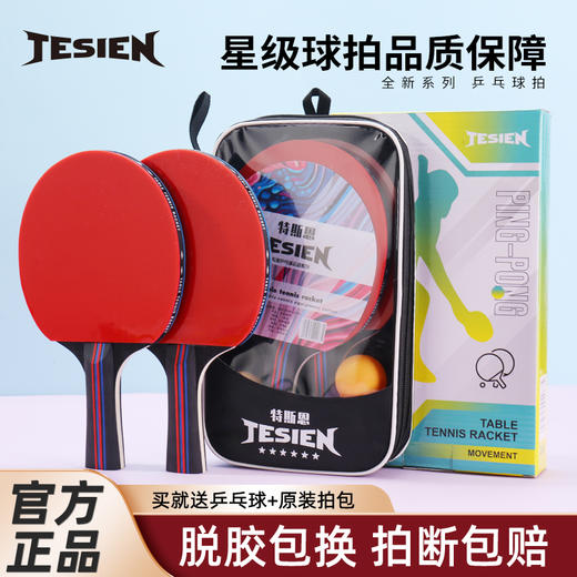 特斯恩特斯恩(TESIEN)乒乓球拍TSN-P01 商品图0