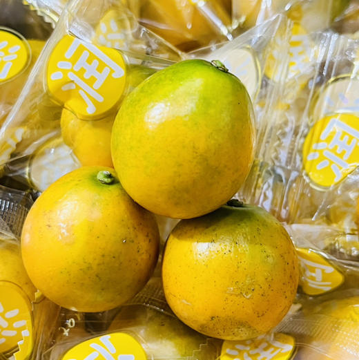 融安 一颗甜金桔   脆甜可口 1件约3斤 商品图2