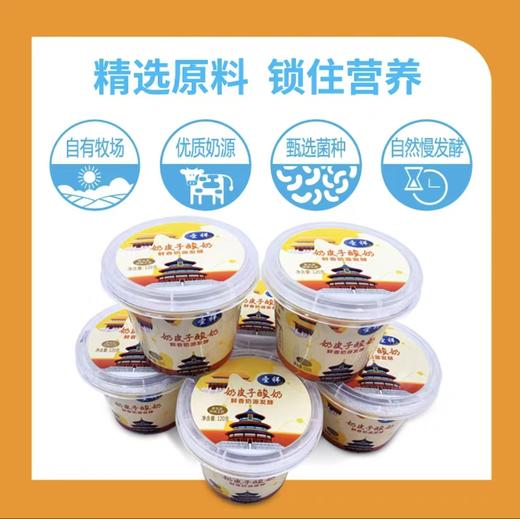 圣祥奶皮子酸奶120克 商品图0