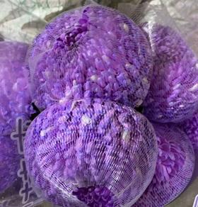 小菊 | 牡丹菊香芋紫【人工吸染，有色差，慎重下单】