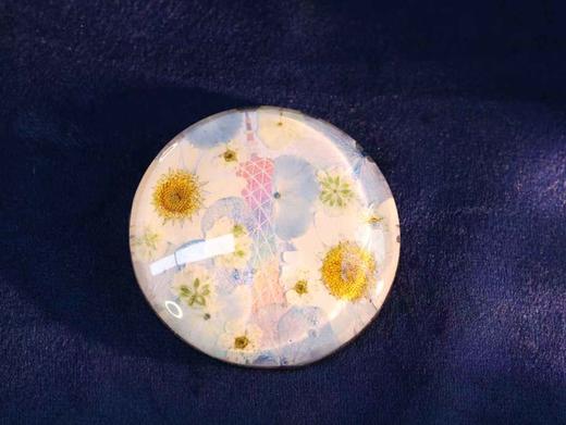 押花冰箱贴 商品图1