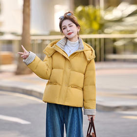 HR JSTX8162休闲精品90%白鸭绒外套