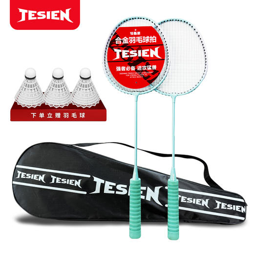 特斯恩泡棉款羽毛球拍TSN-PM01 商品图0