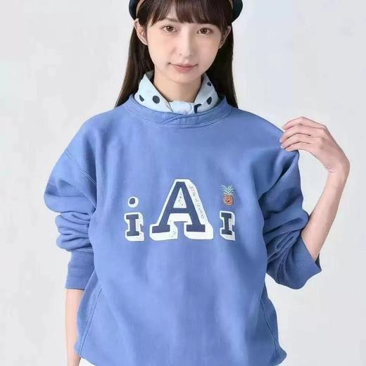 D121417叠领横丝侧拼菠萝刺绣A圆领加绒卫衣 商品图8