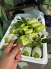 宏丰精选 拇指黄瓜，脆甜多汁，活动价14.8一斤 商品缩略图4