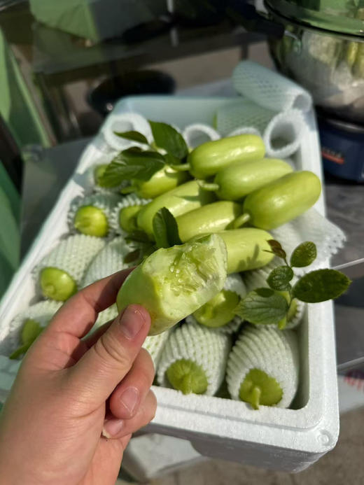 宏丰精选 拇指黄瓜，脆甜多汁，活动价14.8一斤 商品图4