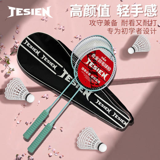 特斯恩泡棉款羽毛球拍TSN-PM01 商品图1