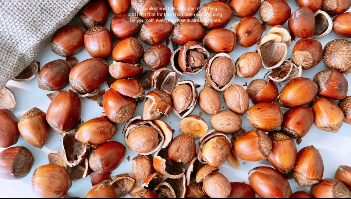 2025东北野生笨炒大榛子来啦🔥2025年新果现炒现发 个头均匀，果仁饱满 果肉皮薄，口感香酥基地直邮