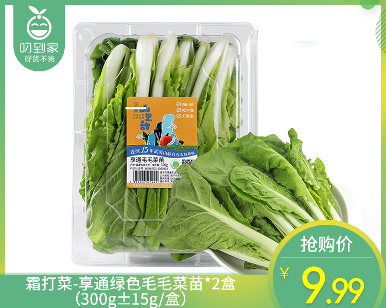 霜打菜-享通绿色毛毛菜苗*2盒（300g±15g/盒）