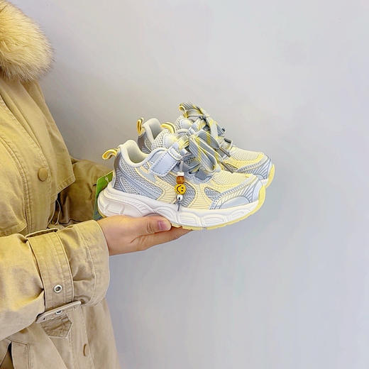 比迪1695/3931 商品图1