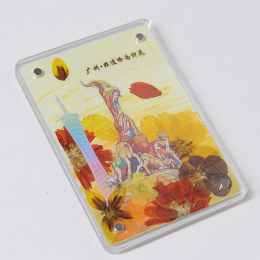 五羊押花冰箱贴 商品图3