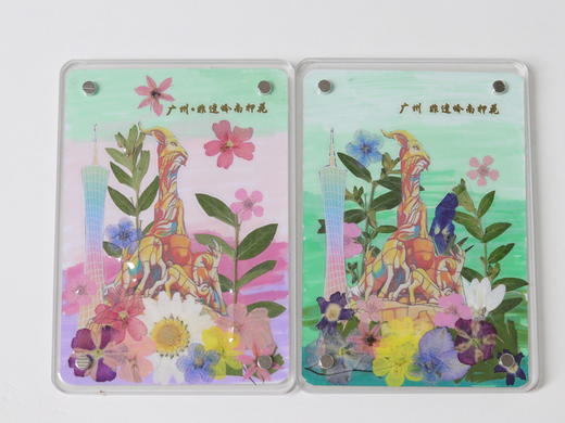 五羊押花冰箱贴 商品图2
