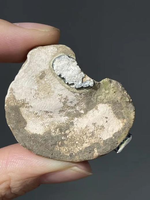 耀州窑青瓷卧坐袖珍瑞狮，顺丰包邮 商品图2