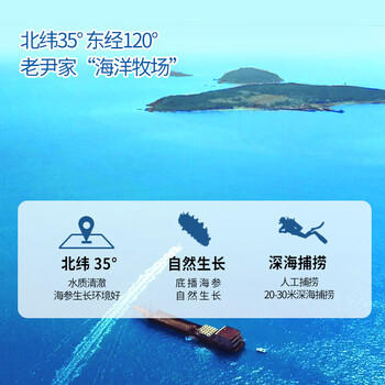 老尹家海洋牧场深海底播5年淡干刺参干货250g30-40头春季滋补礼盒 /粮油调味 /南北干货 /干海参 商品图3