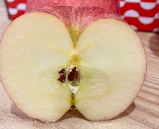 可以连皮啃的高原苹果【洛川苹果】 原生态种植 晒出高原红 蜂蜜授粉 果肉丰厚 商品图5