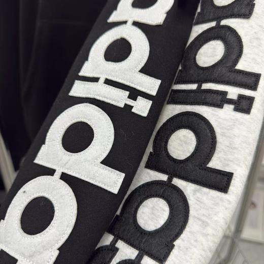 D121599冬季新款高版字母刺绣贴布男女同款加绒连帽卫衣 商品图3