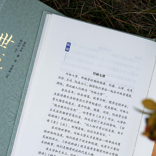 世说新语（全本全注全译全彩图本） 商品图6