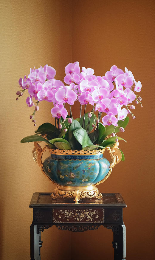 独角鹿西洋古董19世纪末法国出品飞龙卷叶造型铜鎏金精雕镶嵌东方花鸟主题铜胎掐丝珐琅花盆套 商品图2