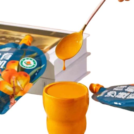 吉萃元沙棘原浆500g 商品图2