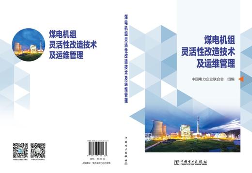 煤电机组灵活性改造技术及运维管理 商品图2