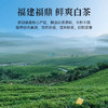 华祥苑 新会陈皮白茶小金饼福鼎寿眉300g礼盒装 商品缩略图4