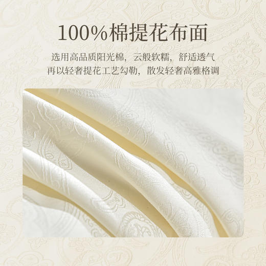 雅芳婷双宫蚕丝被100%桑蚕丝四季被抑菌防螨冬被四季通用被子被芯 商品图3