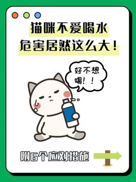 猫咪不爱喝水？危害竟然这么大！