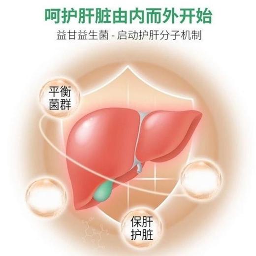 富生紫福临YG益生菌 商品图2
