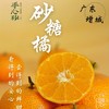 20号后开始发货【手心砂®广东树熟绿色砂糖橘】 时间甜满260天，自然安心每一口😆  有橘味不寡淡❗果肉扎实入口化渣，纯甜爆汁👍不管是给娃当零嘴，还是全家分享，好吃放心吃👍口碑之选！ 商品缩略图2